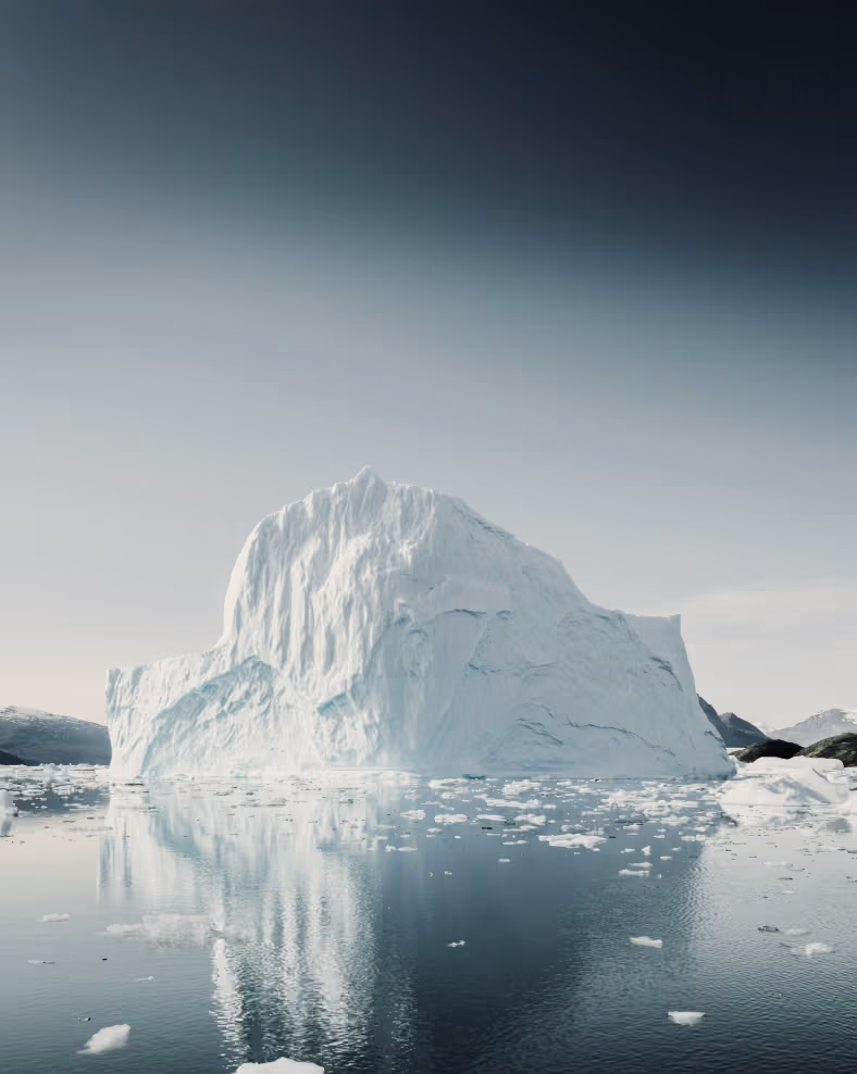 Picture of a sea ice